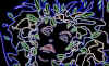 det8 contour.jpg (268954 Byte)