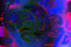 face.JPG (74061 Byte)