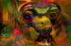 hornet monster2.JPG (87181 Byte)
