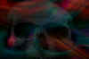 skull.JPG (45273 Byte)
